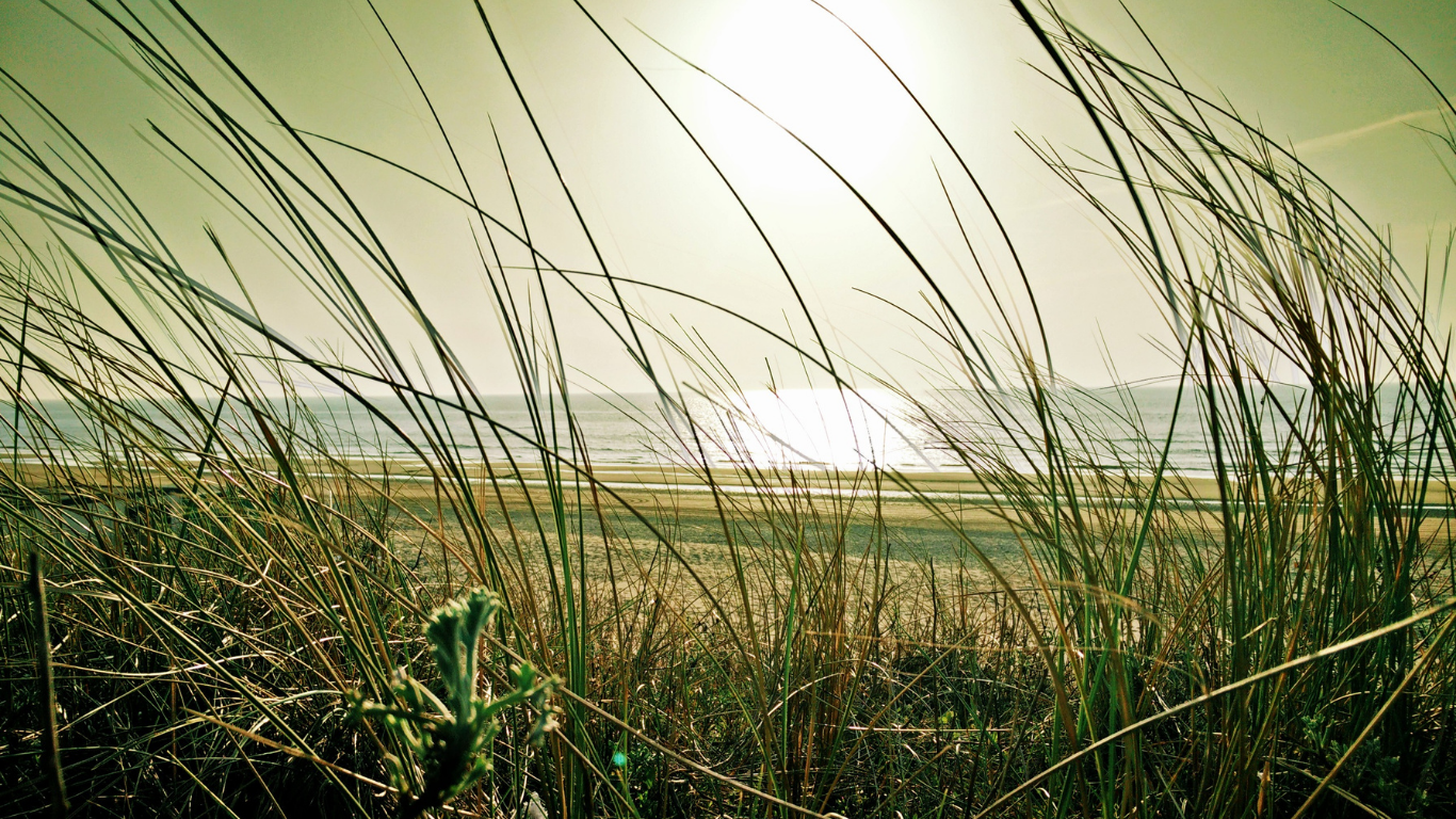 Start Your Day with Intention: A 10-Minute Morning Meditation for Clarity and Calm